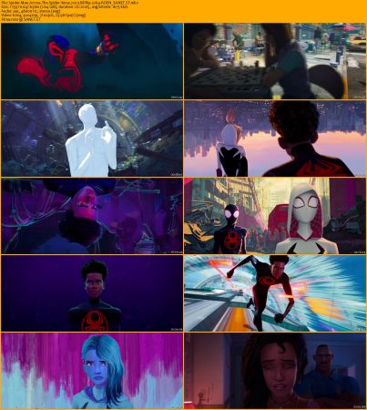 Spider-Man Across The Spider-Verse 2023 BDRip x264-ROEN