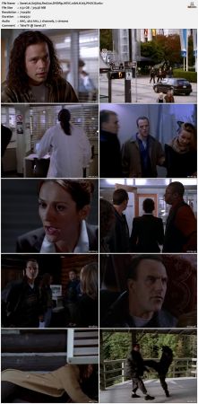 The Sentinel 1996 S03 DVDRip HEVC 10bit H265 PHOCiS