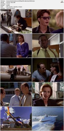 The Sentinel 1996 S04 DVDRip HEVC 10bit H265 PHOCiS