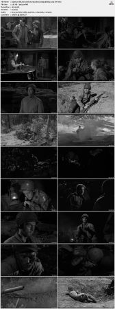 Hell Is for Heroes 1962 Kino 1080p BluRay x264-OFT