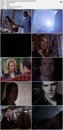 The Sentinel 1996 S03 DVDRip HEVC 10bit H265 PHOCiS