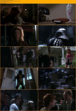 Teenage Mutant Ninja Turtles Collection 1080p BRRip x264 AC3 DiVERSiTY