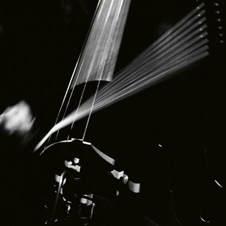 Arnold Dreyblatt &amp; The Orchestra of Excited Strings - Resolve (2023)