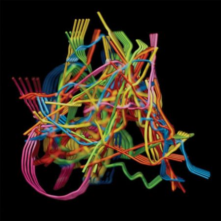 Dustin Wong - Perpetual Morphosis (2023)Official Digital Download 24/48