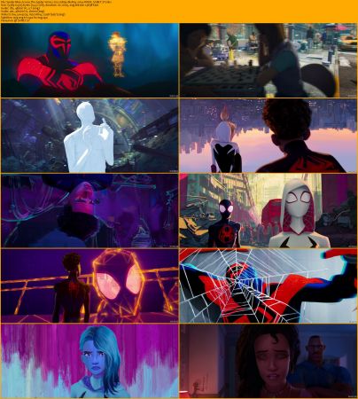 Spider-Man Across The Spider-Verse 2023 1080p BluRay x264-ROEN