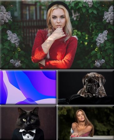 Computer Desktop Wallpapers Collection. Part (2942)