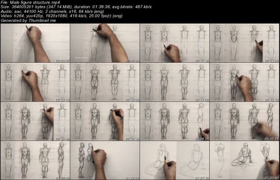 The Anatomy Of Style: Learning To Draw: The Male Figure