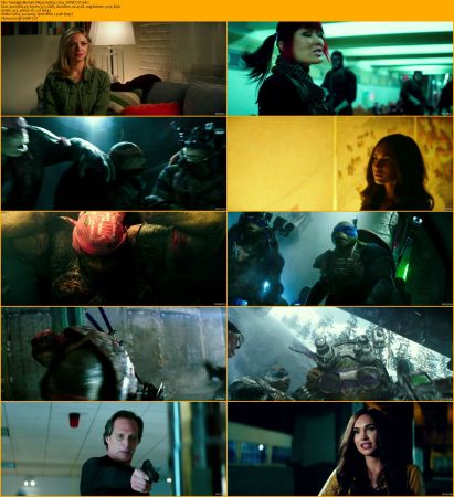 Teenage Mutant Ninja Turtles Collection 1080p BRRip x264 AC3 DiVERSiTY
