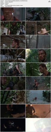Predator 1987 BluRay 1080p DD 5.1 x264-BHDStudio