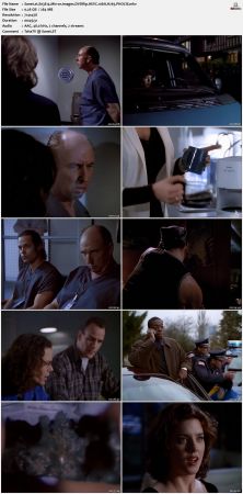 The Sentinel 1996 S03 DVDRip HEVC 10bit H265 PHOCiS
