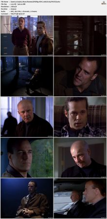 The Sentinel 1996 S04 DVDRip HEVC 10bit H265 PHOCiS