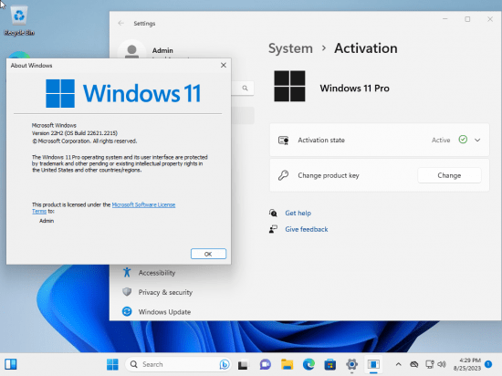 Windows 11 Pro 22H2 Build 22621.2215 (No TPM Required) Preactivated Multilingual