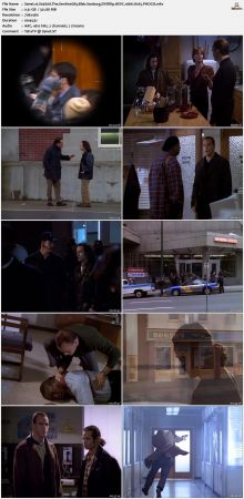 The Sentinel 1996 S04 DVDRip HEVC 10bit H265 PHOCiS