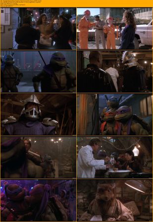 Teenage Mutant Ninja Turtles Collection 1080p BRRip x264 AC3 DiVERSiTY