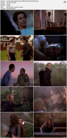 The Sentinel 1996 S04 DVDRip HEVC 10bit H265 PHOCiS