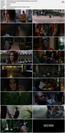 Bird Box 2018 1080p NF WEBRip DDP Atmos 5.1 H265-iVy