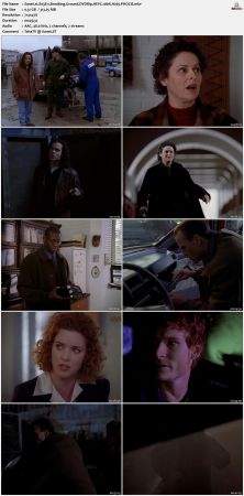 The Sentinel 1996 S03 DVDRip HEVC 10bit H265 PHOCiS
