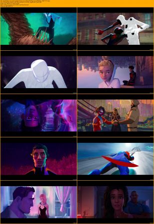 Spider-Man Across the Spider-Verse 2023 1080p WebRip X264-Will1869