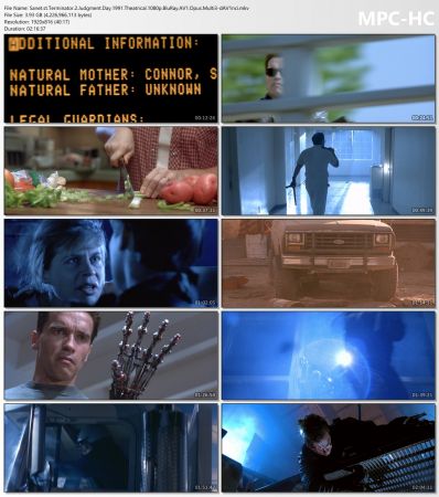 Terminator 2 Judgment Day 1991 Theatrical 1080p BluRay AV1 Opus Multi3-dAV1nci