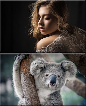 Classy Wallpapers (848)