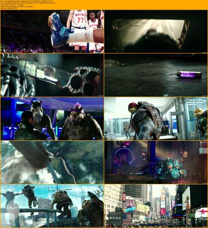 Teenage Mutant Ninja Turtles Collection 1080p BRRip x264 AC3 DiVERSiTY