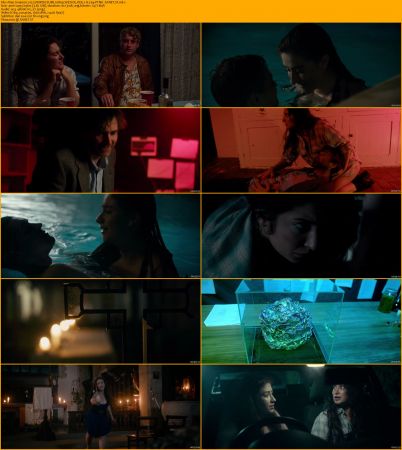 Alien Invasion 2023 NORDiCSUBS 1080p WED-DL DD5.1 H264-PTNK