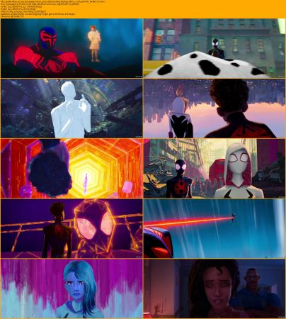 Spider-Man Across the Spider-Verse 2023 Hybrid 1080p BluRay DDP 5.1 x264-BiTOR