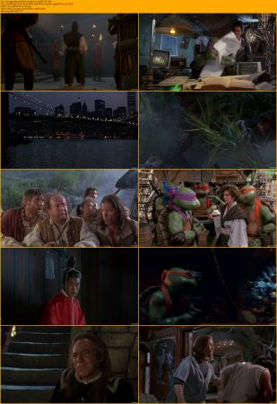 Teenage Mutant Ninja Turtles Collection 1080p BRRip x264 AC3 DiVERSiTY