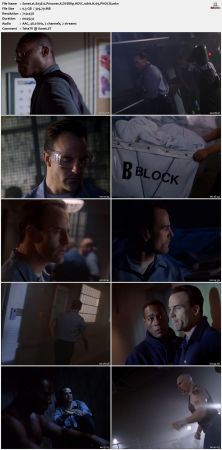 The Sentinel 1996 S03 DVDRip HEVC 10bit H265 PHOCiS