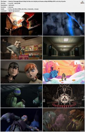 Teenage Mutant Ninja Turtles 2012 S03 1080p WEBRip DDP 2.0 x265-iVy