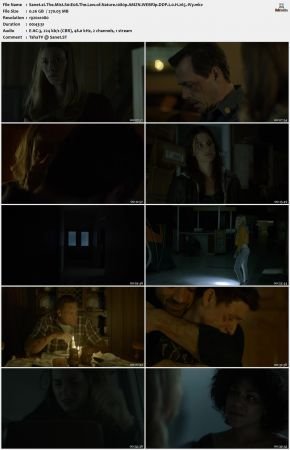The Mist S01 1080p AMZN WEBRip DDP 2 0 x265-iVy