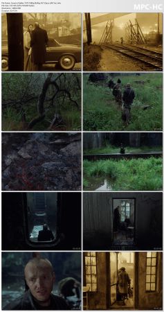 Stalker 1979 1080p BluRay AV1 Opus-dAV1nci