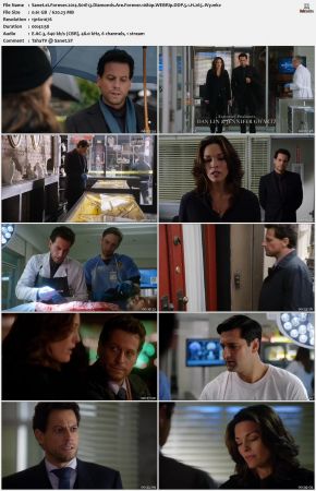 Forever 2014 S01 1080p WEBRip DDP 5 1 x265-iVy