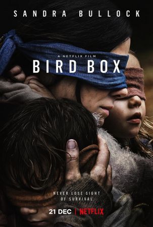 Bird Box 2018 1080p WEBRip x265-RARBG