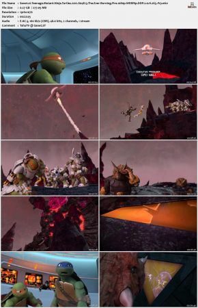 Teenage Mutant Ninja Turtles 2012 S04