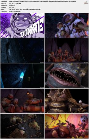 Teenage Mutant Ninja Turtles 2012 S04