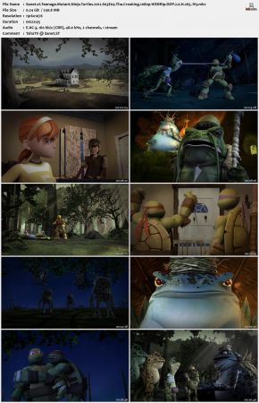 Teenage Mutant Ninja Turtles 2012 S03 1080p WEBRip DDP 2.0 x265-iVy