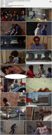 The Final Comedown 1972 1080p BluRay DDP 2.0 H265-iVy