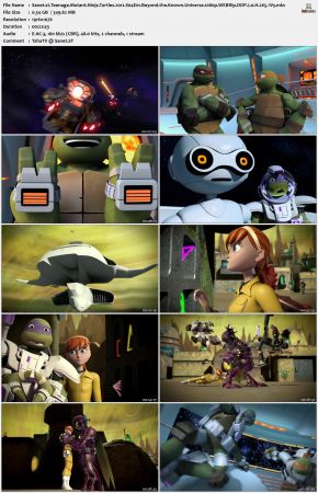 Teenage Mutant Ninja Turtles 2012 S04