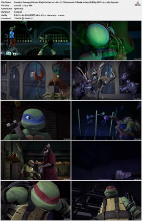 Teenage Mutant Ninja Turtles 2012 S04