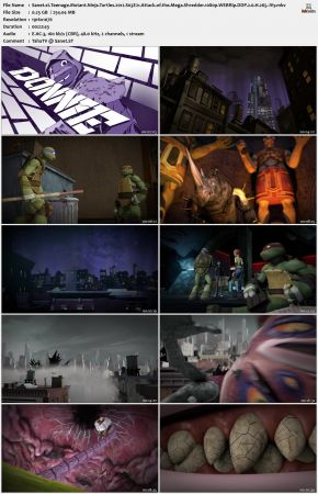 Teenage Mutant Ninja Turtles 2012 S03 1080p WEBRip DDP 2.0 x265-iVy