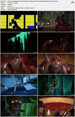 Teenage Mutant Ninja Turtles 2012 S05 1080p WEBRip DDP 2.0 x265-iVy