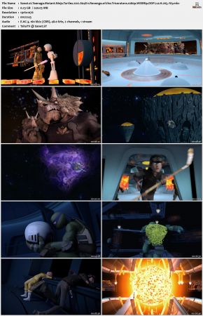 Teenage Mutant Ninja Turtles 2012 S04