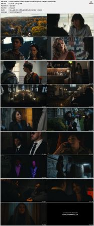 Harlan Cobens Shelter S01E06 1080p WEB x264 AC3-SOiNTA