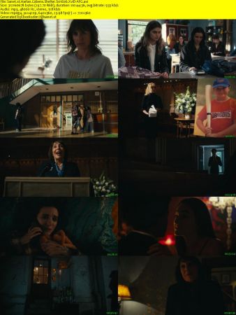 Harlan Cobens Shelter S01E06 XviD-AFG