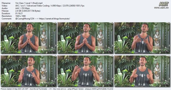 The Collective Yoga - Let’s Be-YIN 1