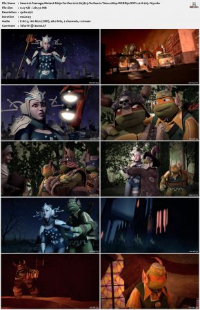 Teenage Mutant Ninja Turtles 2012 S03 1080p WEBRip DDP 2.0 x265-iVy