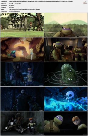 Teenage Mutant Ninja Turtles 2012 S03 1080p WEBRip DDP 2.0 x265-iVy