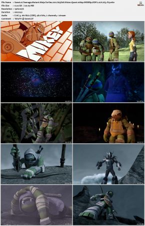 Teenage Mutant Ninja Turtles 2012 S03 1080p WEBRip DDP 2.0 x265-iVy