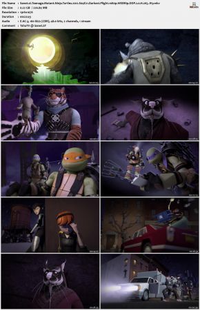 Teenage Mutant Ninja Turtles 2012 S04